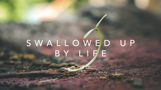 Swallowed up by life